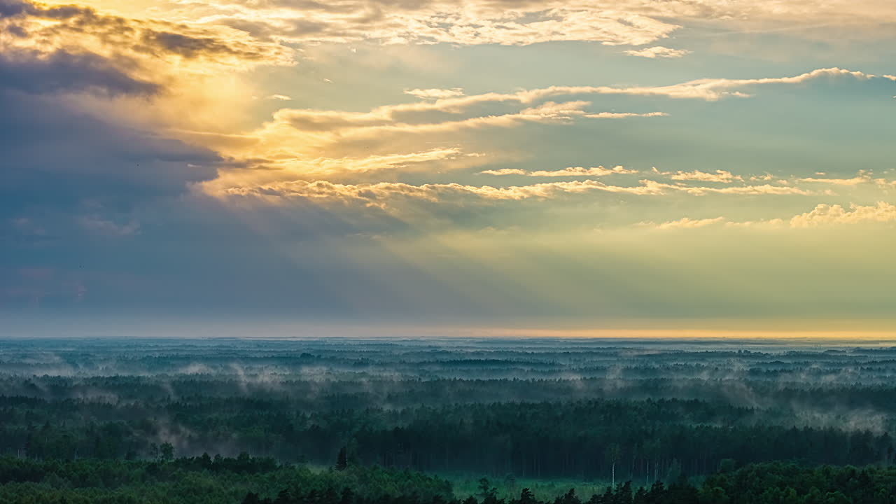 Sunrise over misty forest, golden light casts serene, tranquil mood