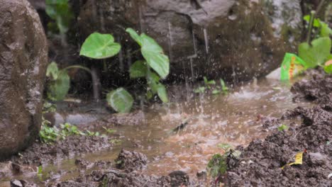 water drops on stone and maad closeup shot