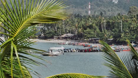 Long-shot-of-boats-tied-to-pier-on-Ko-Samui-island,-Thailand