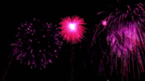 Animation-Von-Rosa-Und-Blauen-Weihnachts--Und-Neujahrsfeuerwerken,-Die-Am-Nachthimmel-Explodieren