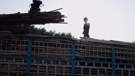 loading logs onto truck at sunrise