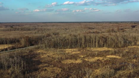 Schöne-Aussicht-Auf-Den-Wald-Und-Die-Bäume,-Auto-Fährt-Durch-Den-Wald