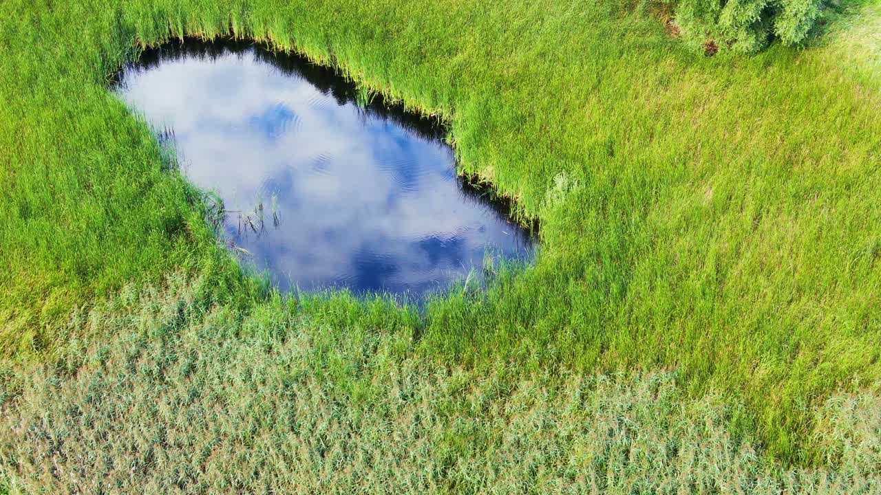 Top view aerial flight over small lake of perfectly round shape
