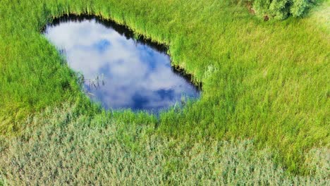 Top-view-aerial-flight-over-small-lake-of-perfectly-round-shape