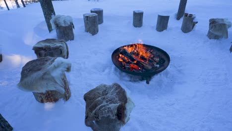 Winter-forest-scene-with-tree-stumps-covered-in-fur-and-a-cozy-firepit-with-a-warm-fire,-creating-a-serene-and-inviting-atmosphere