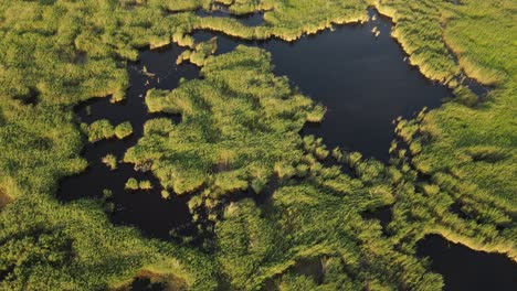 Natural-Lake-Lagun