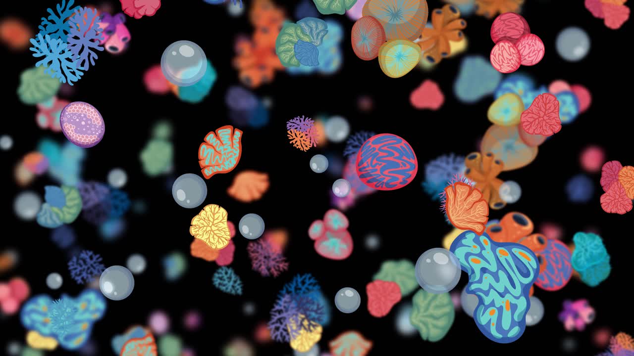 검은색 배경에 반이는 활기찬 산호