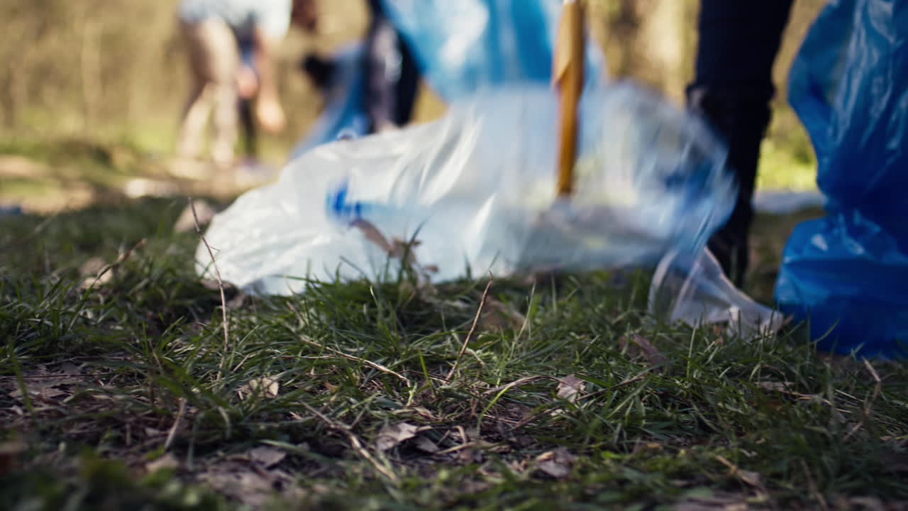 Gruppo di volontari che puliscono la foresta dai rifiuti e dai rifiuti di plastica