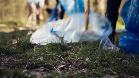 grupo de voluntarios limpiando el bosque de basura y residuos plásticos