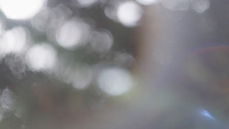 abstract bokeh natural background