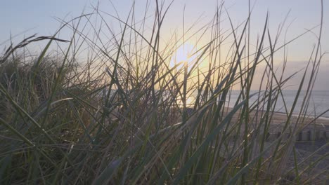 Beach-grass-blowing-in-wind-in-slow-motion-during-sunset-at-Fleetwood,-Lancashire,-UK