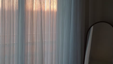sunlight filtering through translucent vertical blinds with a plant