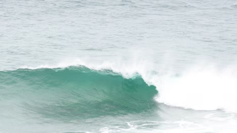 surfers riding waves at bell beach