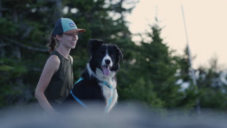 enjoying the mountain top view in vermont with a border collie