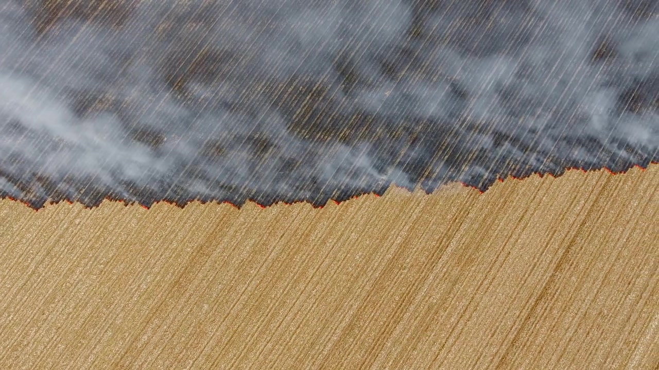 Aerial View of Controlled Agricultural Field Burning
