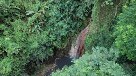 Revelación-Lenta-De-Una-Cascada-Tropical-En-Una-Selva-Tropical-Caribeña