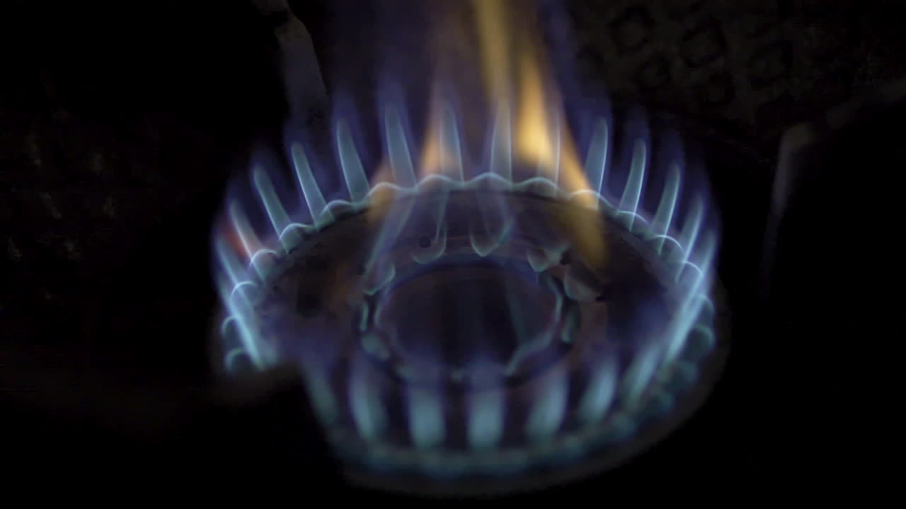 Close-up of a Blue Gas Stove Flame