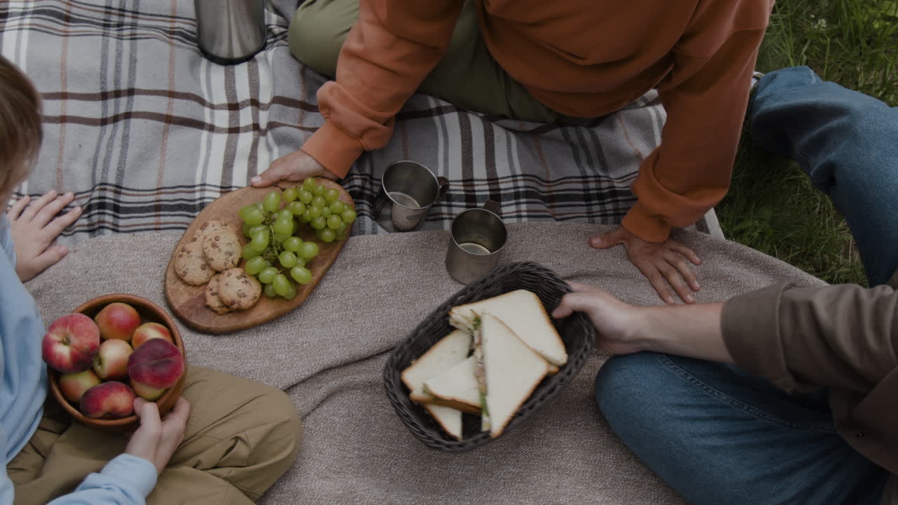 Picnic with food on a blanket