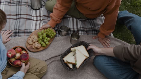 picnic with food on a blanket