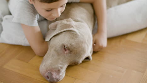 little boy hugging and petting his lovely dog lying on the floor at home