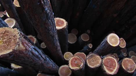 this closeup of cut lumber shows the bark and growth rings of the stacked logs