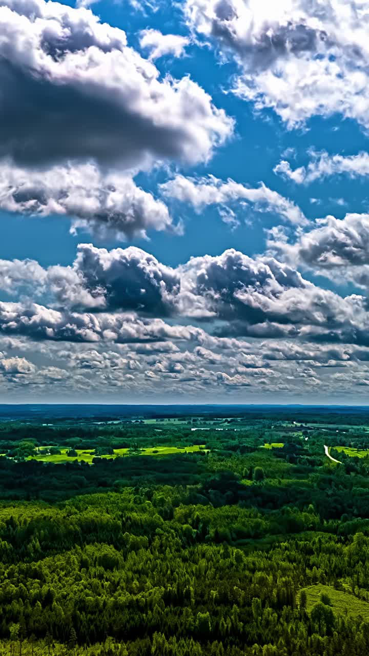 Fluffy white clouds and blue sky over green forest, aerial timelapse