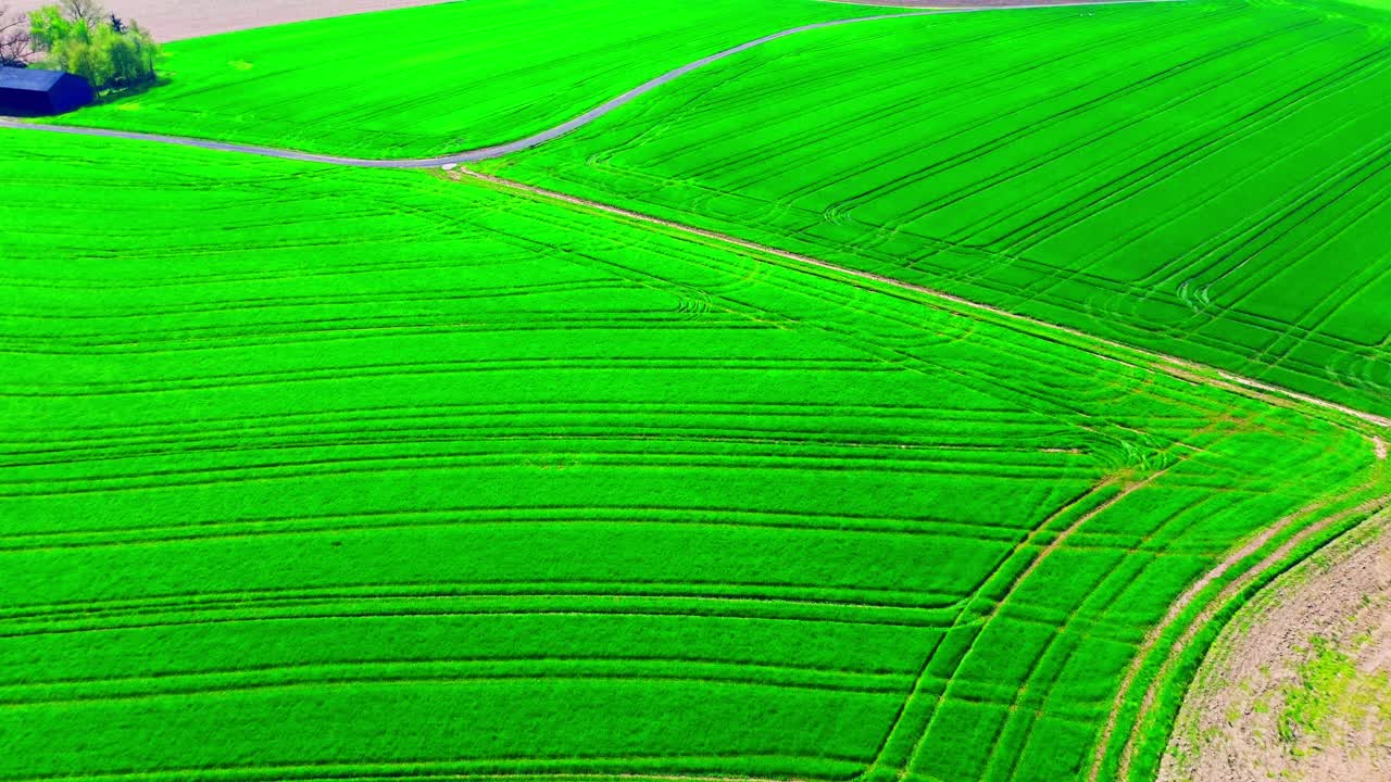Vibrant Green Agricultural Fields with Crop Patterns from Aerial View