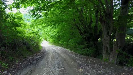 smooth driving in an agriculture road in gardens and forest sand way in the spring season of hiking and camping in nature in azerbaijan