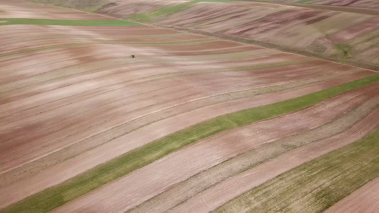 여름철 밀 농장 농업 토지 농업 건조한 비가 내린 곡물 이란의 농지에서 부드러운 질감 사우디 투자 산업 관광 식품 보충 하이라인 수확 시즌에서 영화 보리