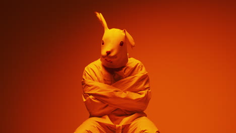 person in rabbit mask and restraints