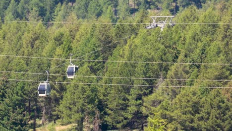 cable cars moving through forested area