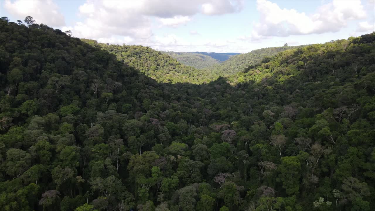increíble vista aérea de la jungla