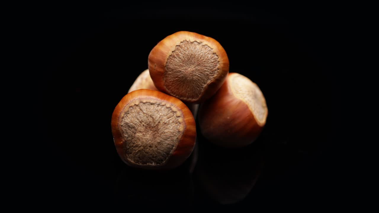 las avellanas (en bucle)