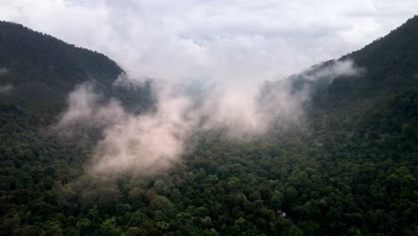 toma aérea épica de drones volando a través de nubes en una vasta selva tropical paisaje de fondo textura clima nublado en la isla de sumbawa, indonesia