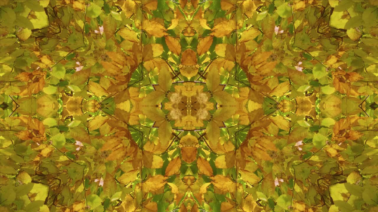 caleidoscopio de naturaleza, bucle, 60 fps, paisaje de wissahickon creek #22