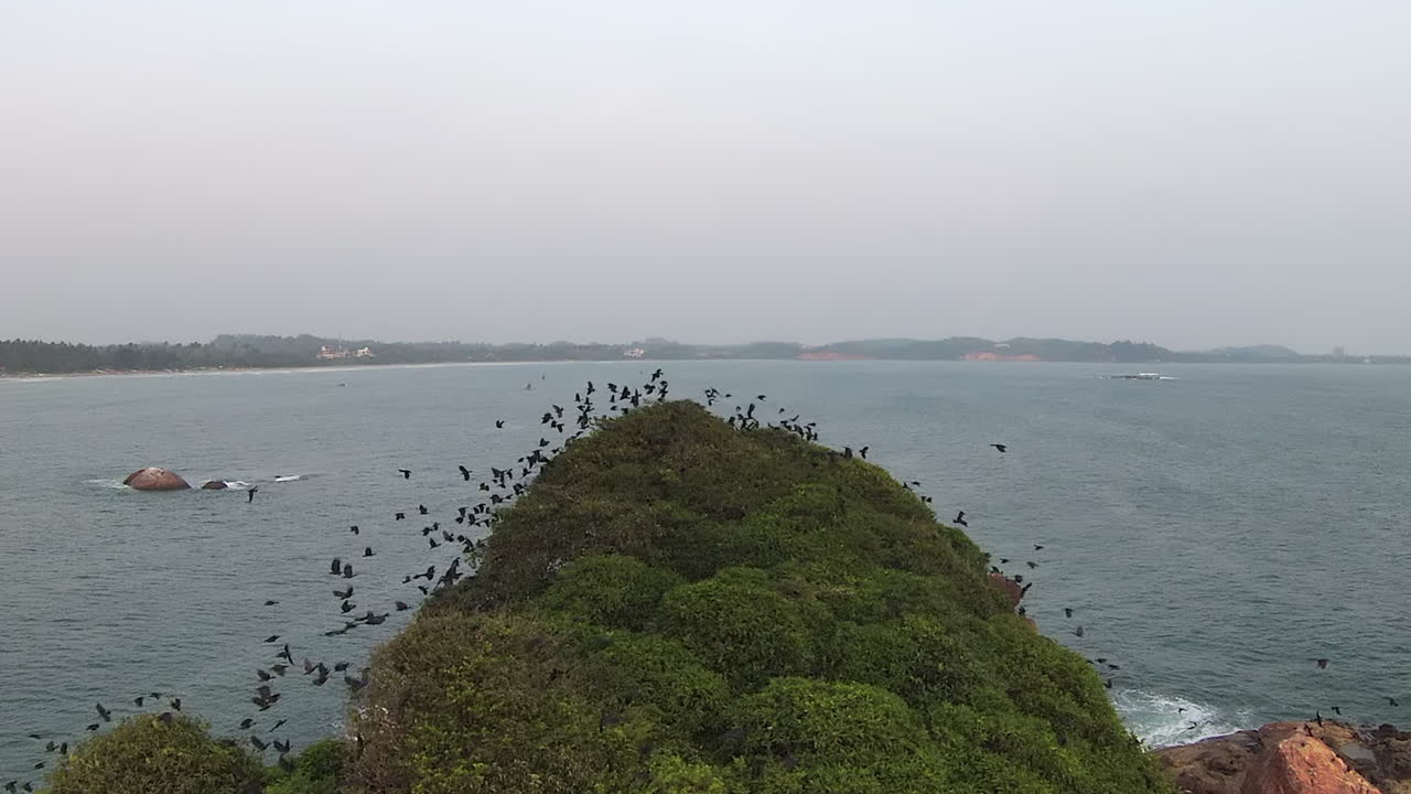 넓은 바다 전망, 스리랑카 앞 푸른 언덕에서 솟아 오르는 새 떼의 면적 샷