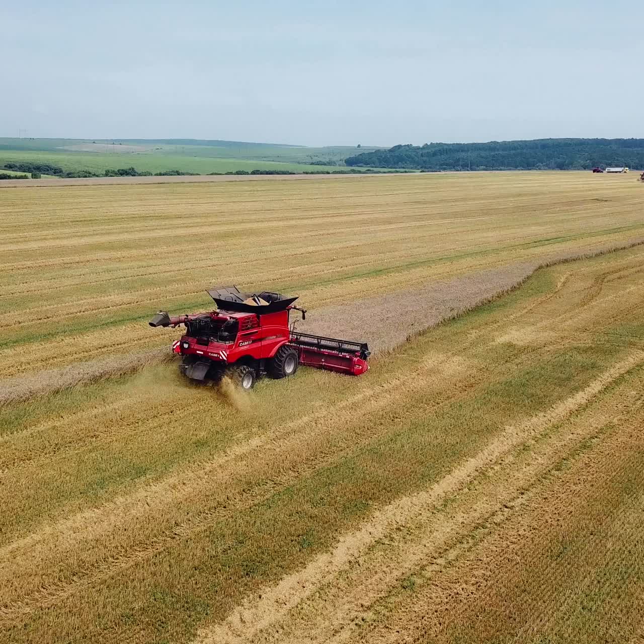 Aerial view. Combine harvester working on sunny summer day. Harvest time. Agricultural sector