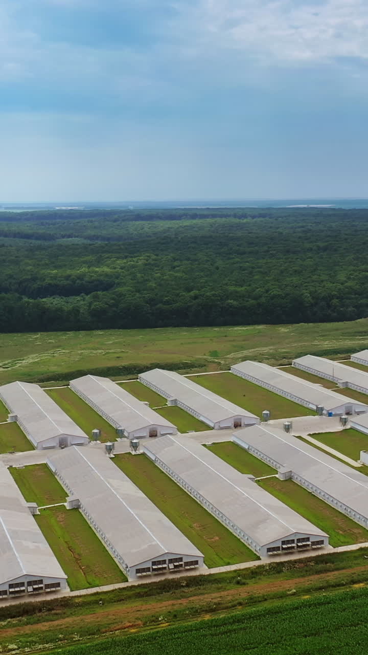 Amazing view of large farm on the natural background. Aerial view of a modern farming complex for livestock in summer. Slow motion. Vertical video