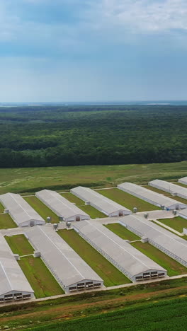 amazing view of large farm on the natural background. aerial view of a modern farming complex for livestock in summer. slow motion. vertical video