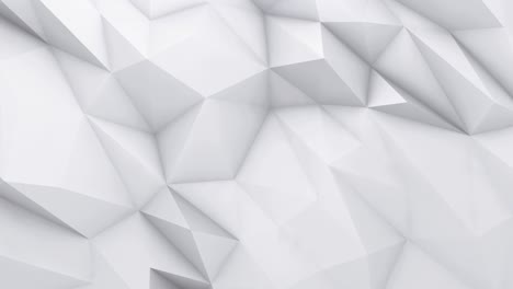blanco de baja textura poli