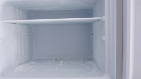 empty frozen refrigerator