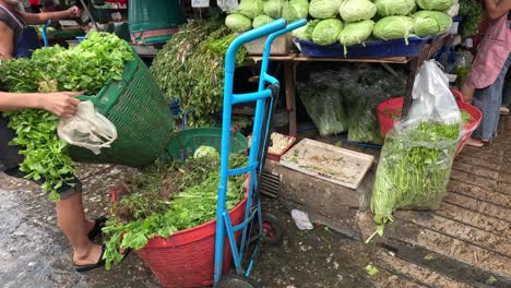 person arranging vegetables at a busy market stall