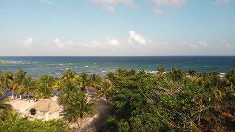 méxico océano y playa de palmeras tiro con drones