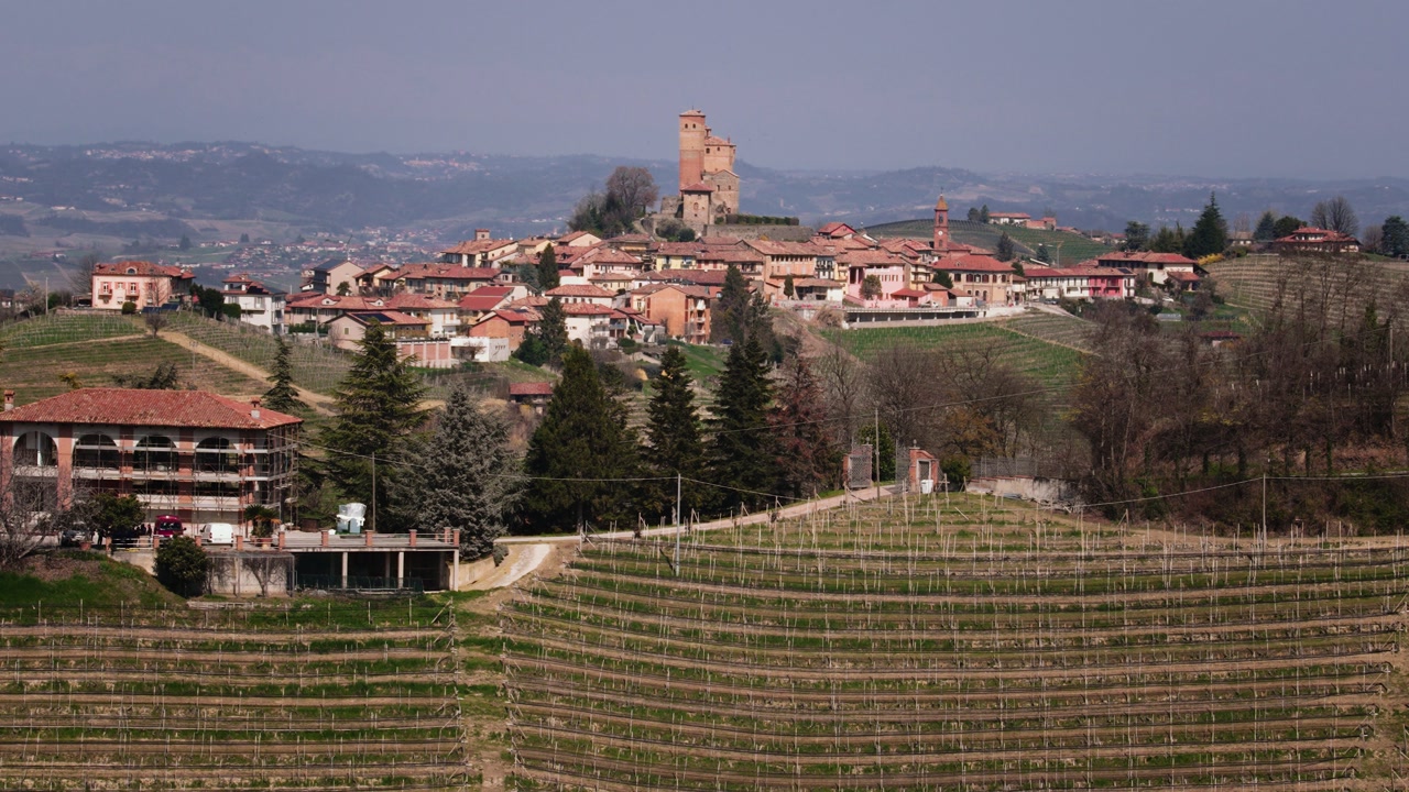 Italian vineyard landscape and geometric vine rows leading to Castiglione Falletto village, Piedmont, Italy