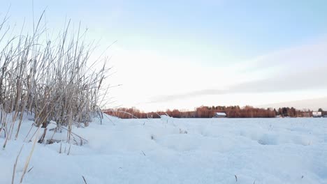 two people on atv quad bike in the winter, arctic lapland, cinematic slider moving right