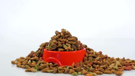 dry food for cats and other pets. rotates, studio shooting