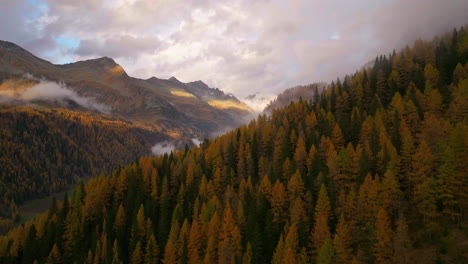 Atemberaubender-Goldener-Kaserherbstbergwaldtalhang,-Südtiroler-Luftbild