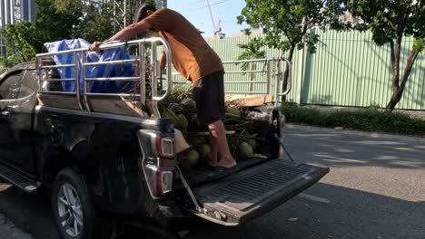 man arranges coconuts on pickup for sale