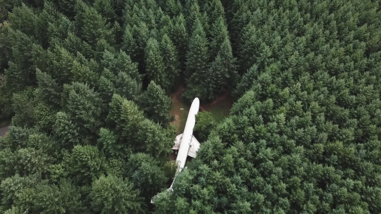 상록수 숲, 조감도 공중에 숨겨진 은퇴한 상업용 비행기