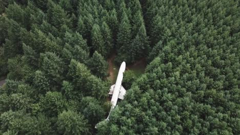 retired commercial aiplane hidden in evergreen forest, birdseye aerial